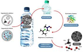 Descomposición del plástico